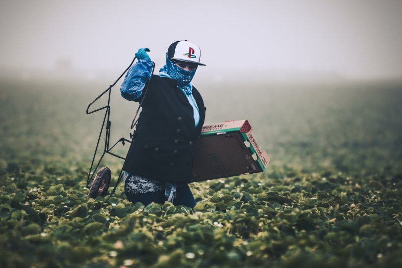 Ouvrier agricole relativement peu équipé et protégé