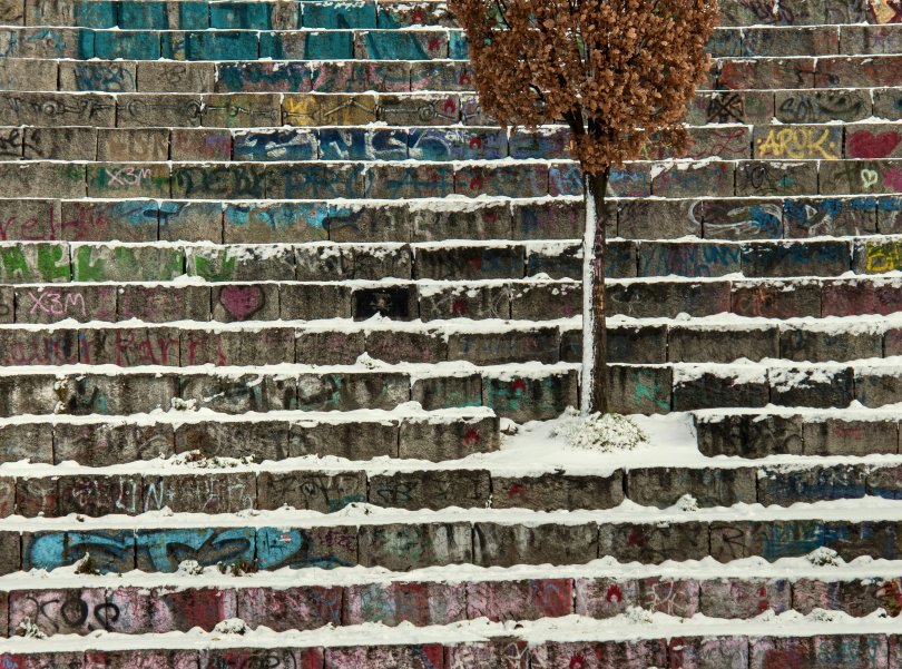 Arbre poussant au milieu d'un escalier recouvert de neige.