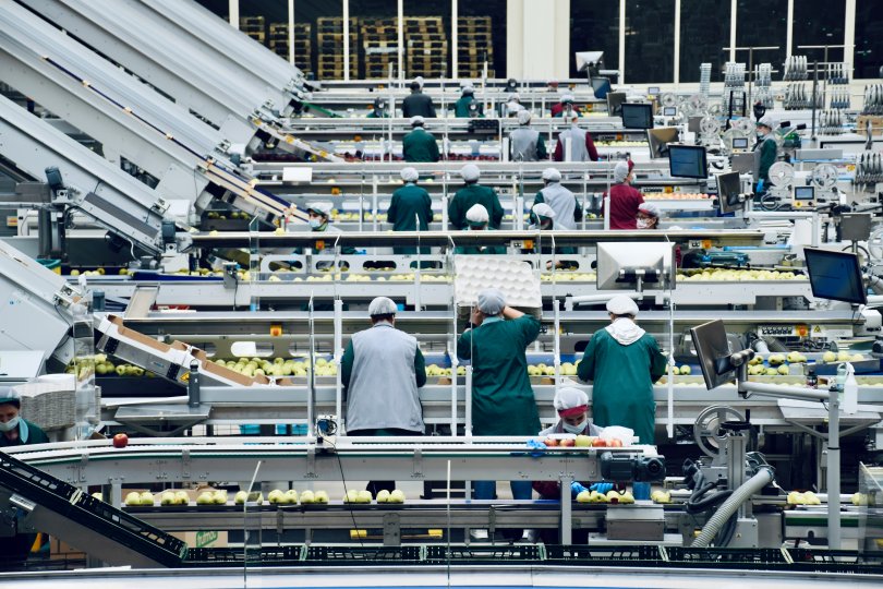 travailleur dans une usine de conditionnement de fruits.